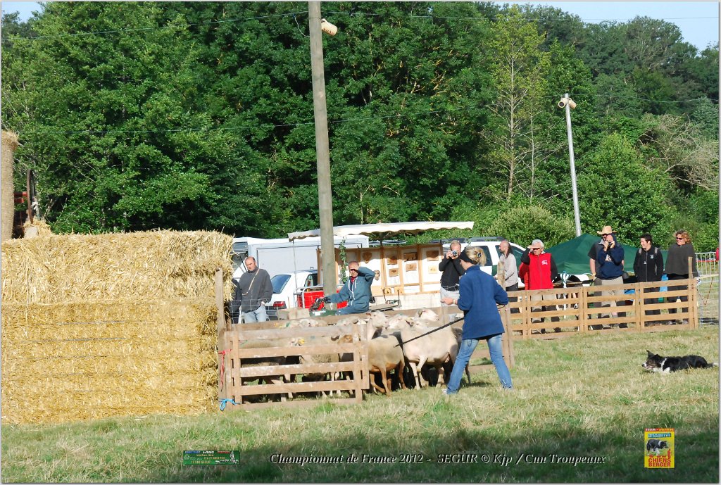 DSC_2384w.jpg