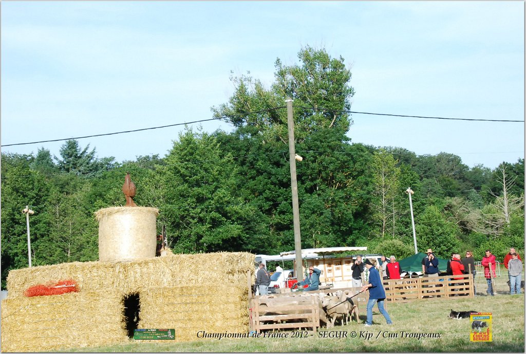 DSC_2387w.jpg