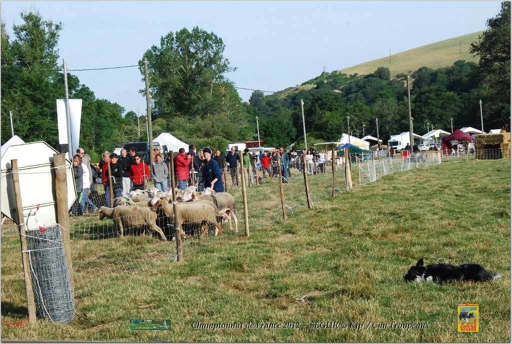 DSC_2421w.jpg