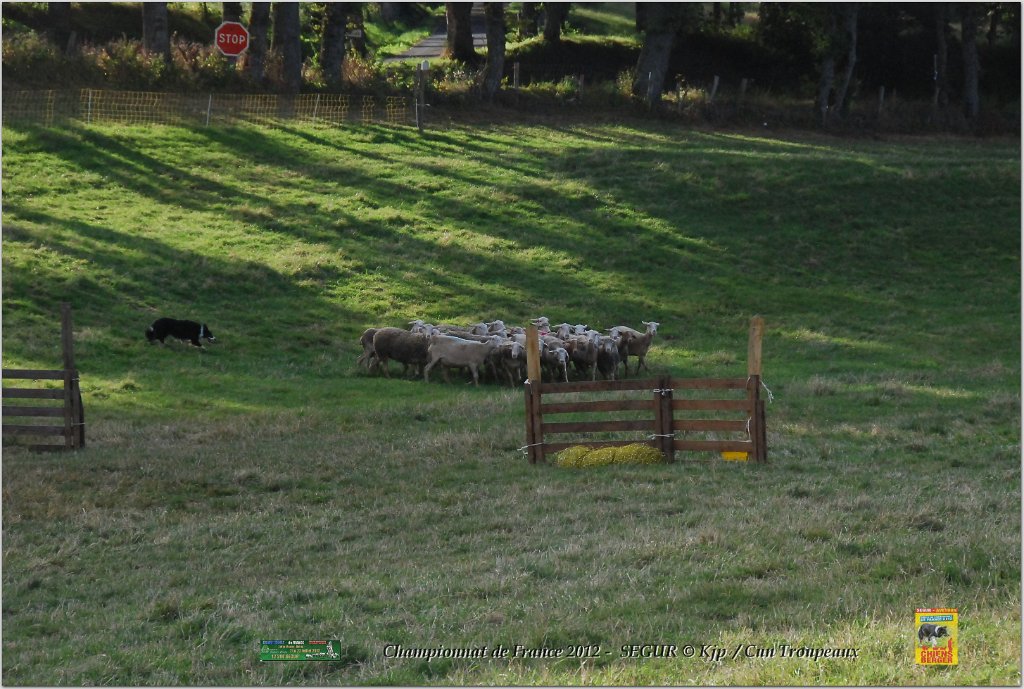 DSC_2451w.jpg