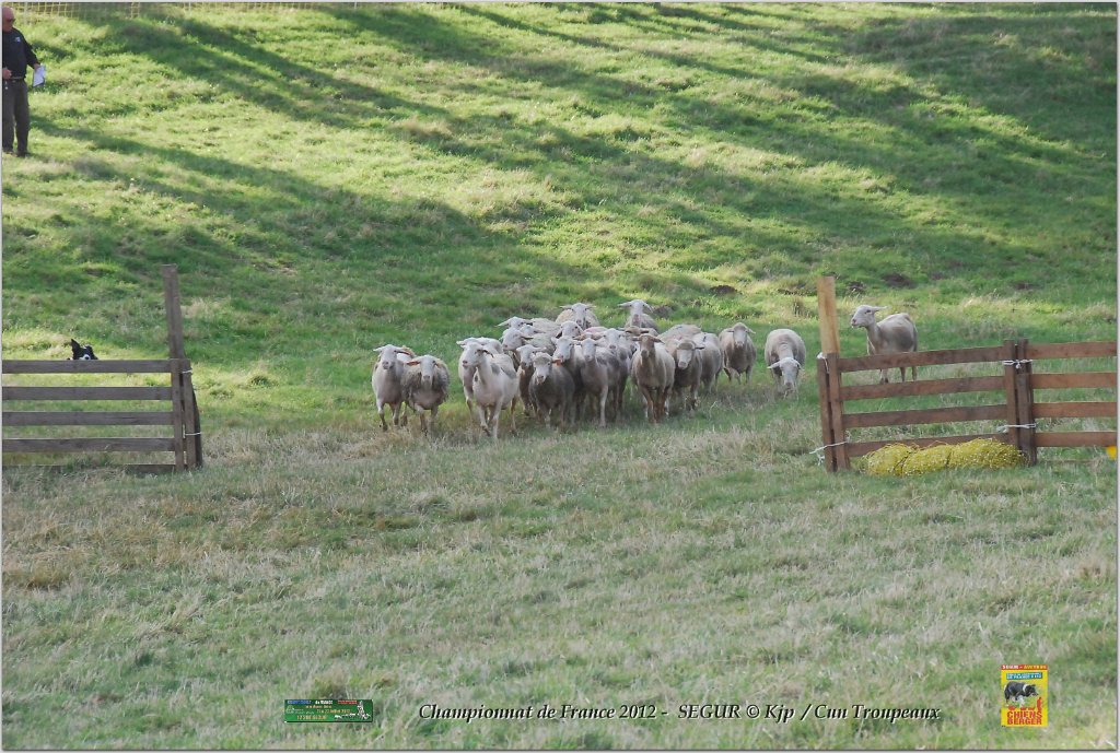 DSC_2452w.jpg