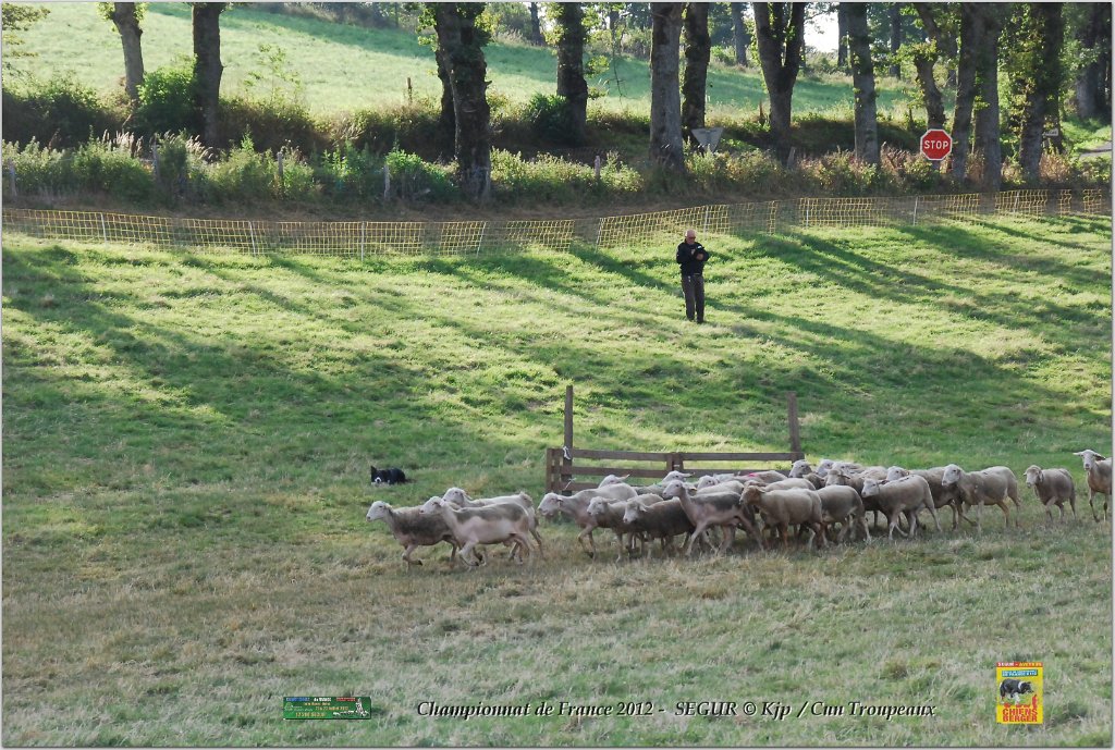 DSC_2455w.jpg