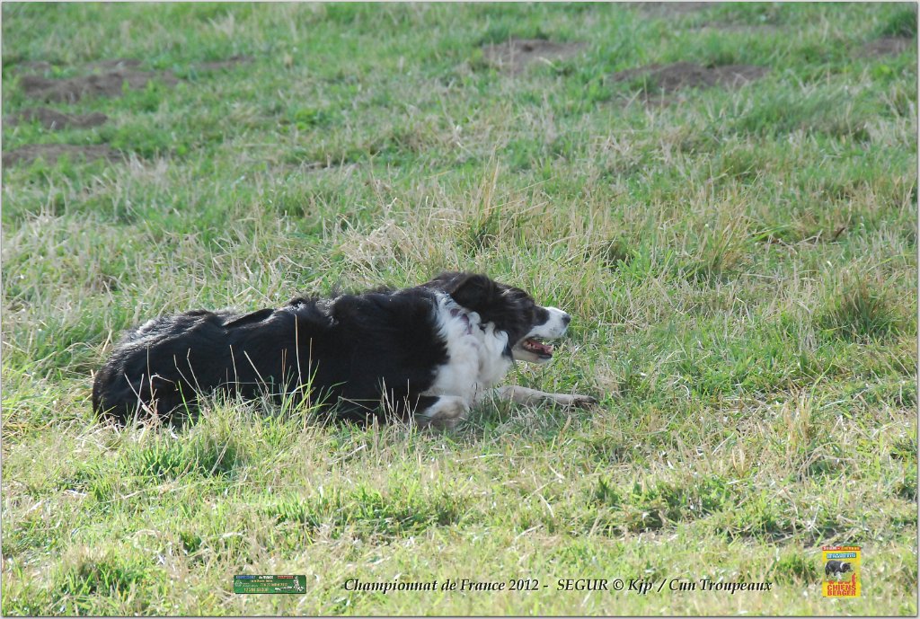 DSC_2483w.jpg