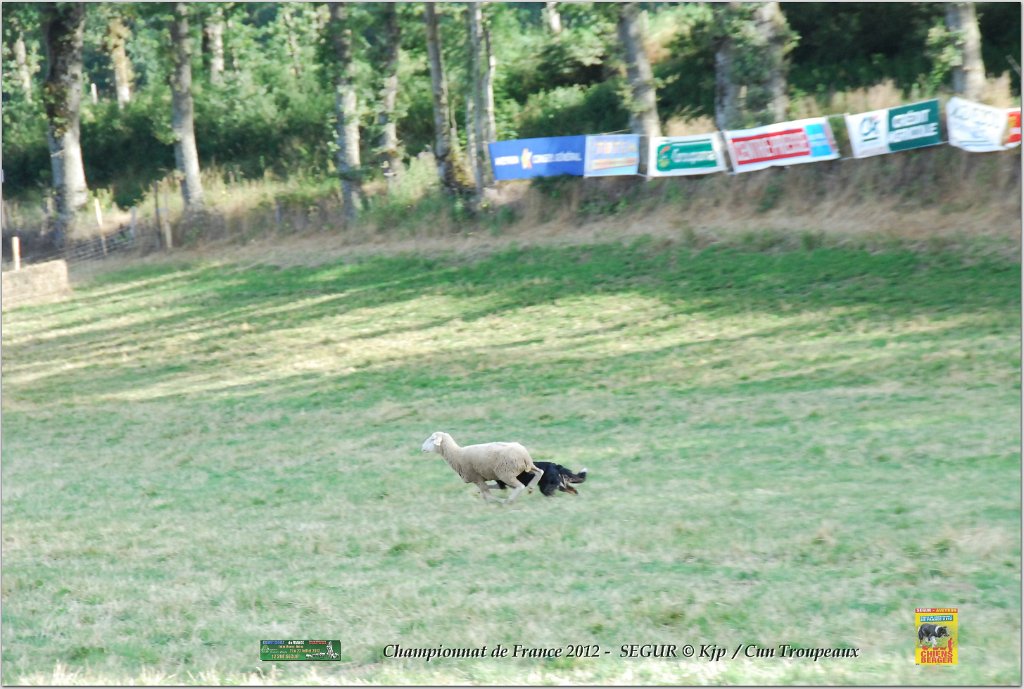 DSC_2497w.jpg