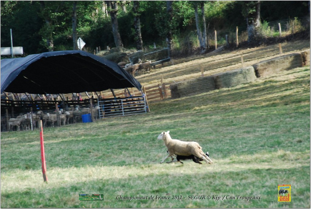 DSC_2498w.jpg