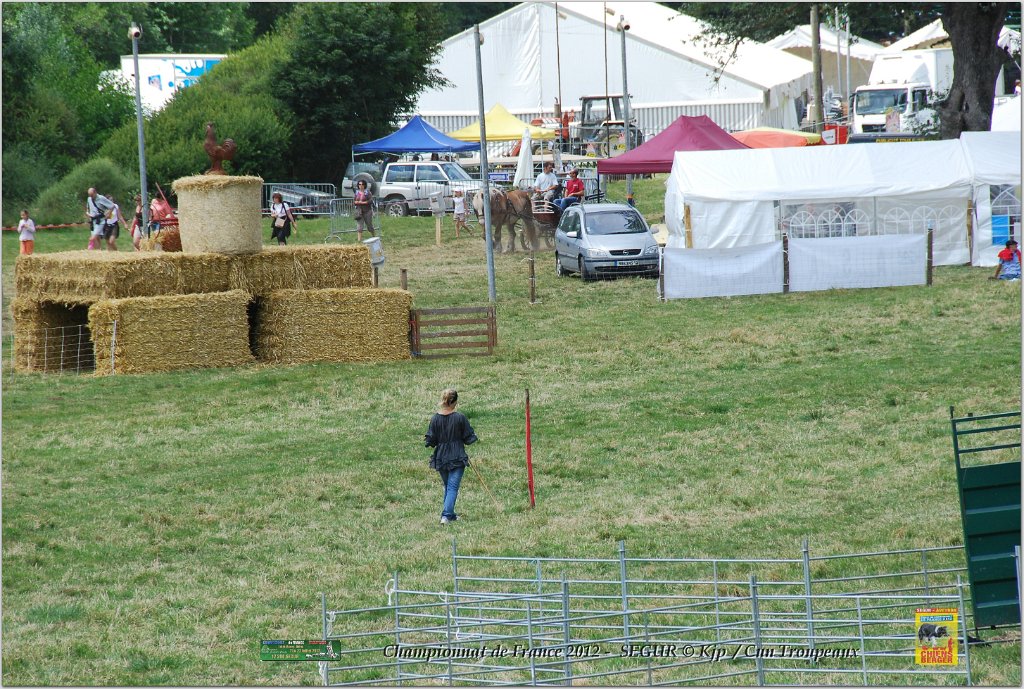 DSC_0378w.jpg