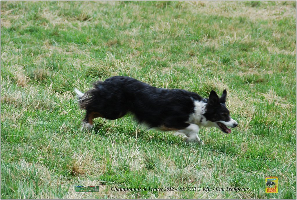 DSC_0407w.jpg