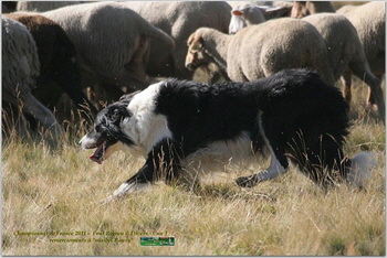 bwR_IMG_8805w