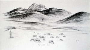 MP_Auvergne08_1w