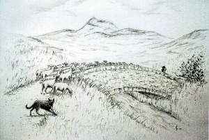 MP_Auvergne08_2w