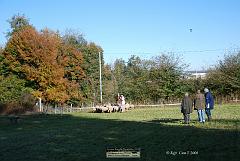 Kjp_2885