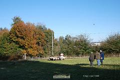 Kjp_2886