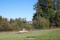 Kjp_2912