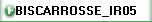 BISCARROSSE_IR05