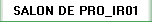 SALON DE PRO_IR01