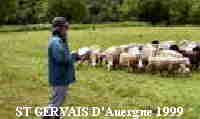 db_ch_99011