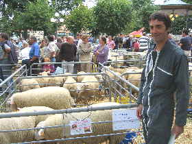 Thierry Picand �leveur de texel02