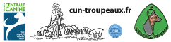 Accueil