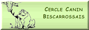logo_CCBisca