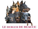 logo_bbeauc03